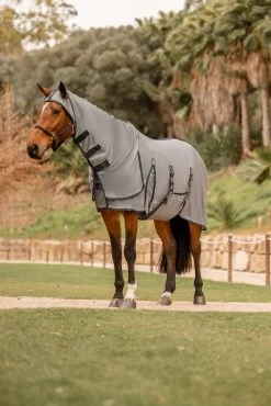 Horze Paso Fino Fly Rug With Hood And UV Protection -Sports - Horse Equipment Shop 24893 061 06