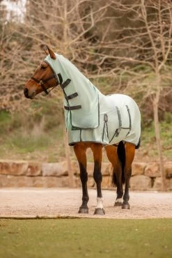 Horze Paso Fino Fly Rug With Hood And UV Protection -Sports - Horse Equipment Shop 24893 616 06