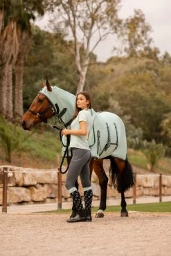 Horze Paso Fino Fly Rug With Hood And UV Protection -Sports - Horse Equipment Shop 24893 616 07