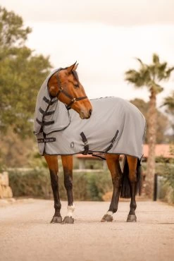 Horze Paso Fino Fly Rug With Detachable Neck And UV Protection -Sports - Horse Equipment Shop 24895 061 07