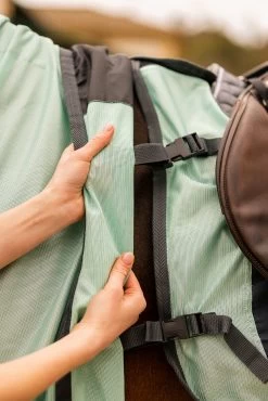 Horze Paso Fino Riding Fly Rug With Detachable Neck And UV Protection 25 Horze Paso Fino Riding Fly Rug With Detachable Neck And UV Protection -Sports - Horse Equipment Shop 24896 616 10