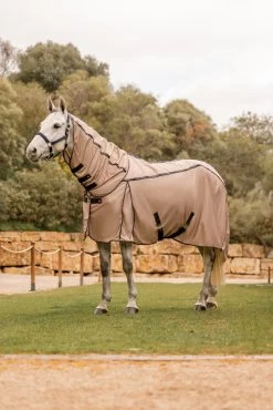 B Vertigo Combo Fly Rug With Detachable Neck And UV Protection -Sports - Horse Equipment Shop 24899 726 08