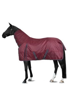 Horze 840D Turnout Rug With Full Neck, 200g