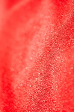 Light Turnout Rug 600D, 100g 11 Light Turnout Rug 600D, 100g -Sports - Horse Equipment Shop 24971 250 5