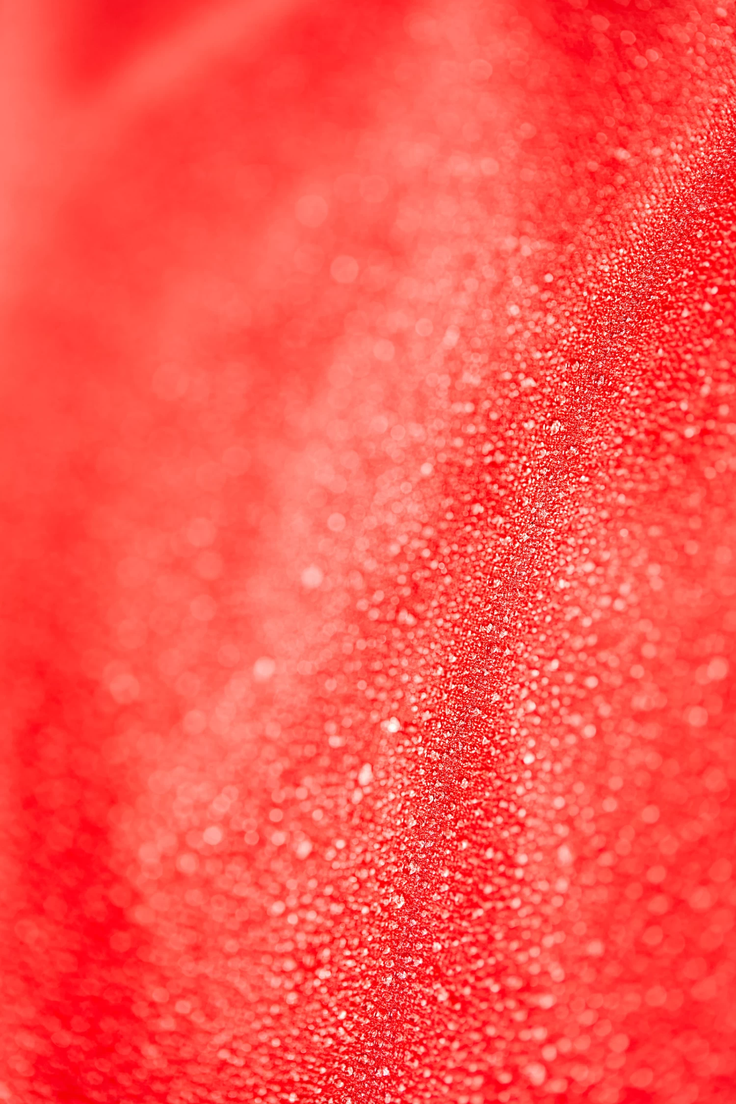 Light Turnout Rug 600D, 100g 7 Light Turnout Rug 600D, 100g - Image 5