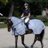 Bucas Buzz Off Fly- And Riding Rug 2 Bucas Buzz Off Fly- And Riding Rug -Sports - Horse Equipment Shop 300422 SI B 1