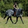 Bucas Buzz-Off Riding Zebra Fly- And Riding Rug -Sports - Horse Equipment Shop 300423 BL WH 6