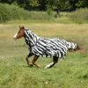 Bucas Buzz Off Zebra Fly Rug With Fixed Neck -Sports - Horse Equipment Shop 300424 BL WH 5