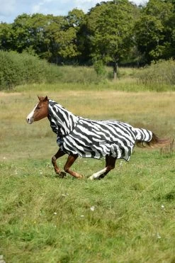 Bucas Buzz Off Zebra Fly Rug With Fixed Neck