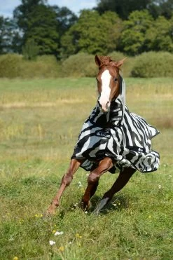 Bucas Buzz Off Full-Neck Zebra Fly Rug -Sports - Horse Equipment Shop 300426 BL WH 4
