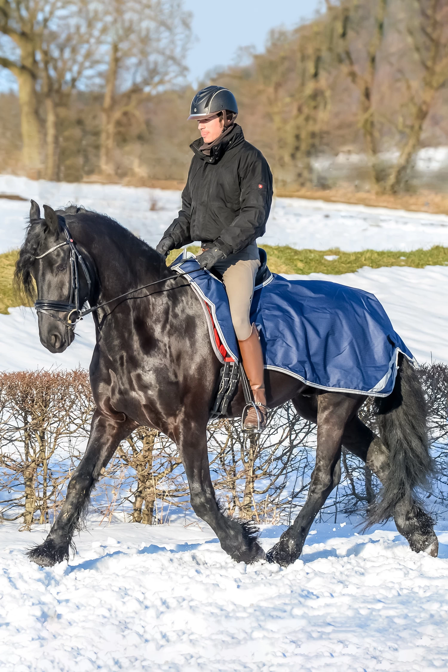 Bucas Freedom Riding Rug 3 Bucas Freedom Riding Rug