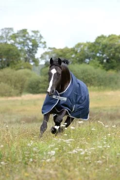 Bucas Freedom Foals Turnout Rug, 300g -Sports - Horse Equipment Shop 300451 DB 3