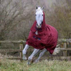 Bucas Freedom Full Turnout Rug With Fixed Neck, 0g 17 Bucas Freedom Full Turnout Rug With Fixed Neck, 0g -Sports - Horse Equipment Shop 300453 CRE 2