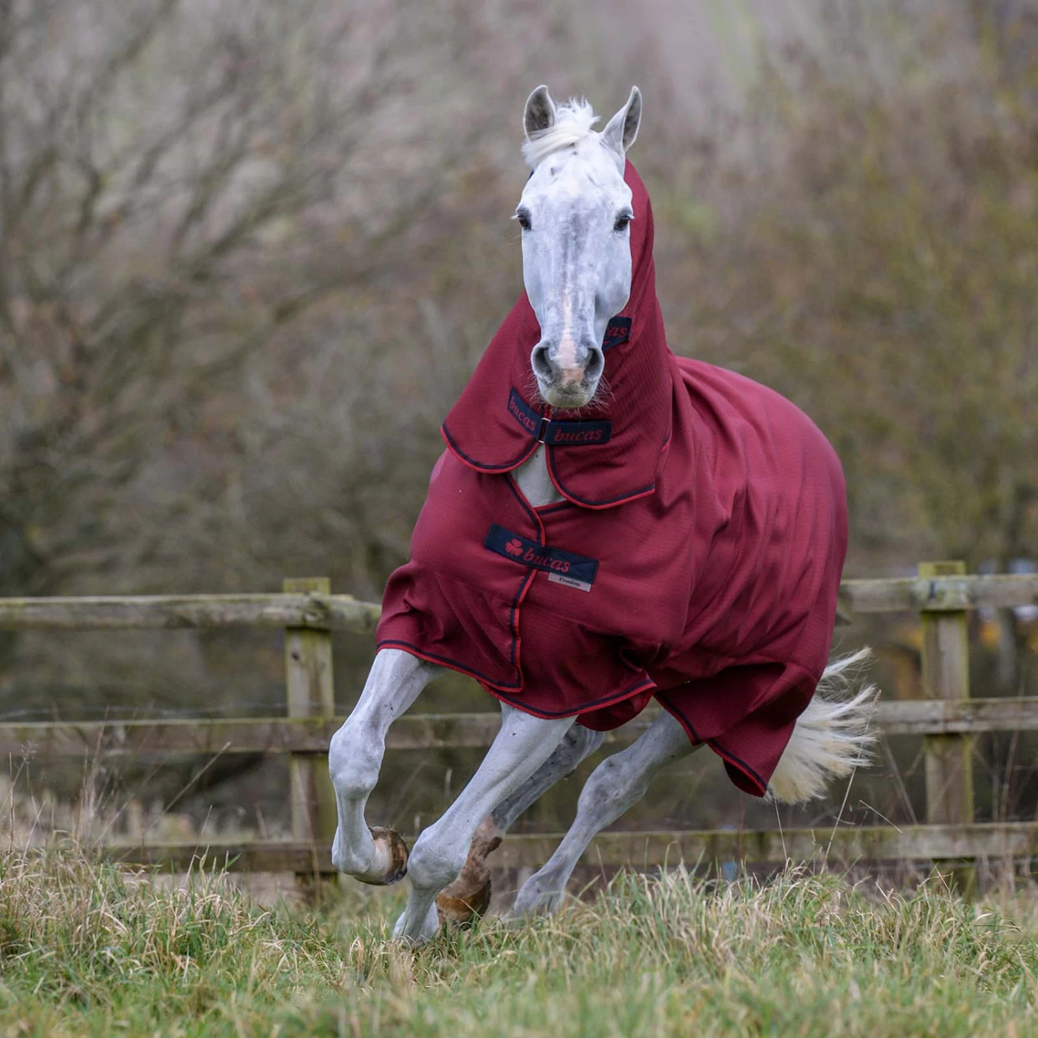Bucas Freedom Full Turnout Rug With Fixed Neck, 0g 8 Bucas Freedom Full Turnout Rug With Fixed Neck, 0g - Image 6
