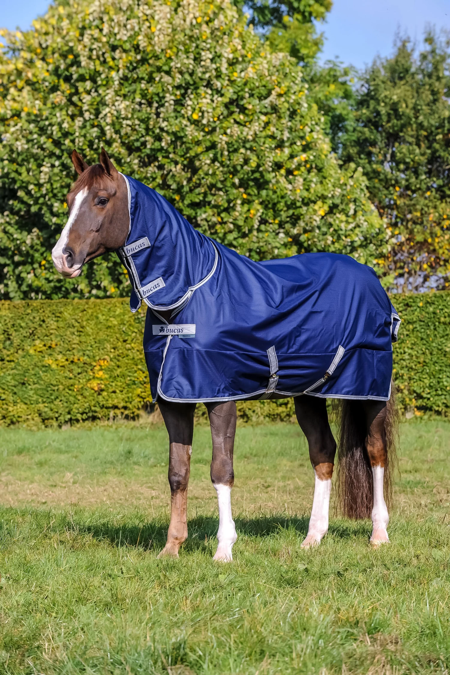 Bucas Freedom Full Turnout Rug With Fixed Neck, 0g 3 Bucas Freedom Full Turnout Rug With Fixed Neck, 0g