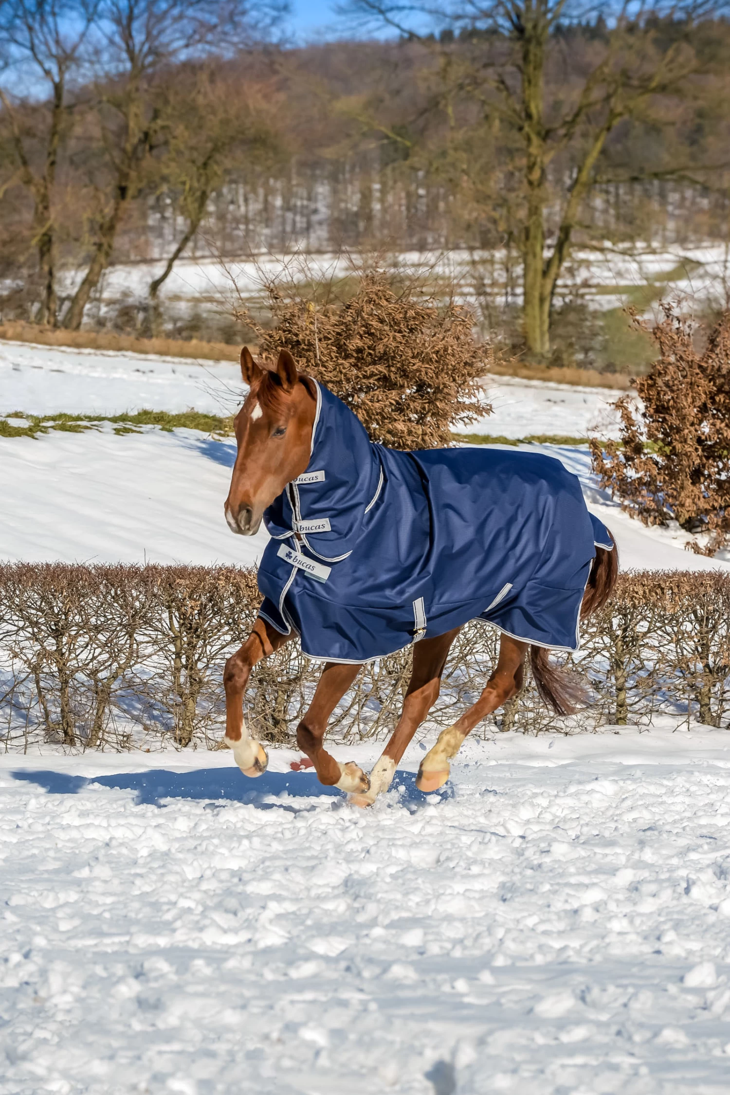 Bucas Freedom Full Turnout Rug With Fixed Neck, 0g 4 Bucas Freedom Full Turnout Rug With Fixed Neck, 0g - Image 2