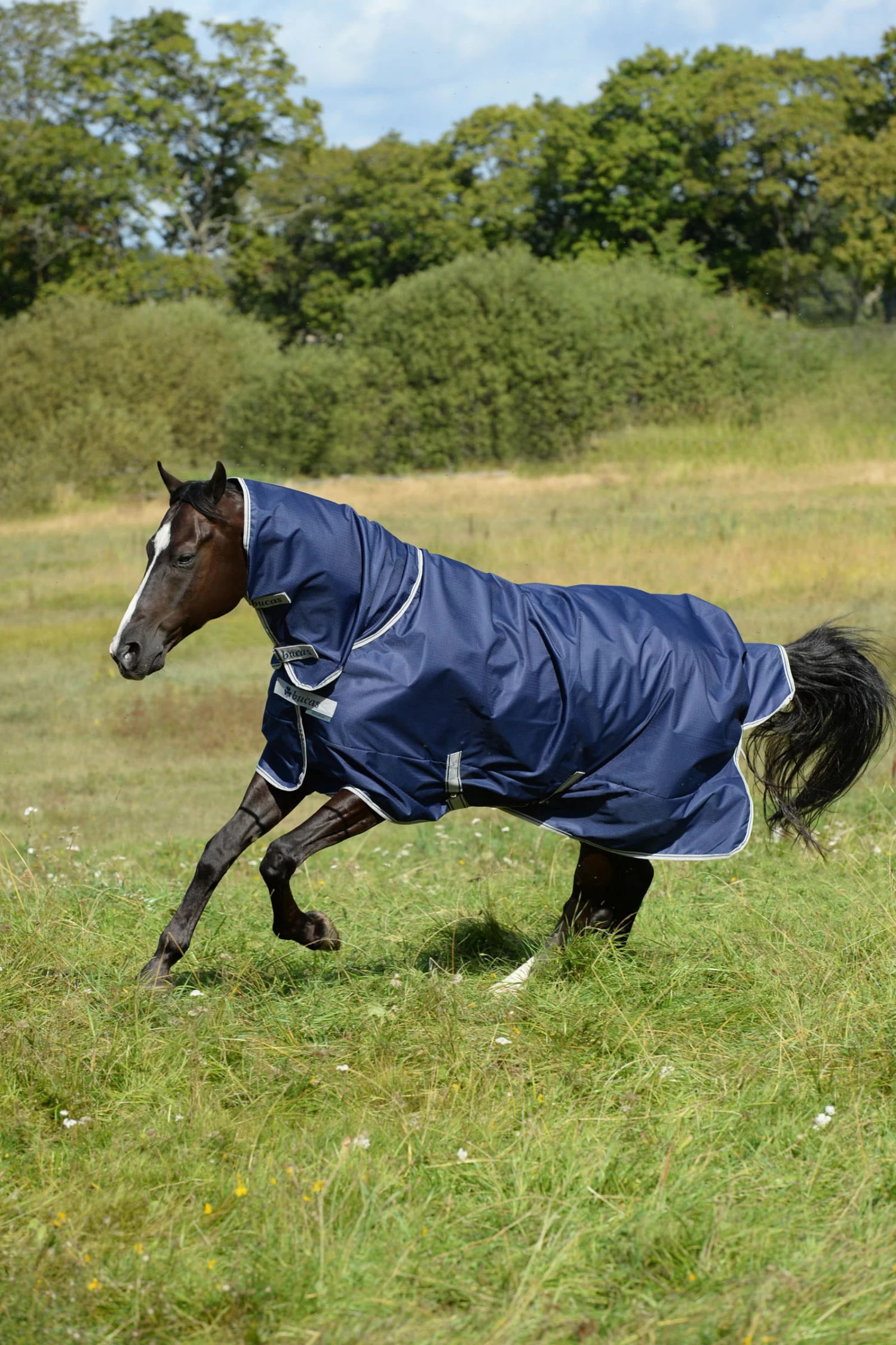 Bucas Freedom Full Turnout Rug With Fixed Neck, 0g 6 Bucas Freedom Full Turnout Rug With Fixed Neck, 0g - Image 4