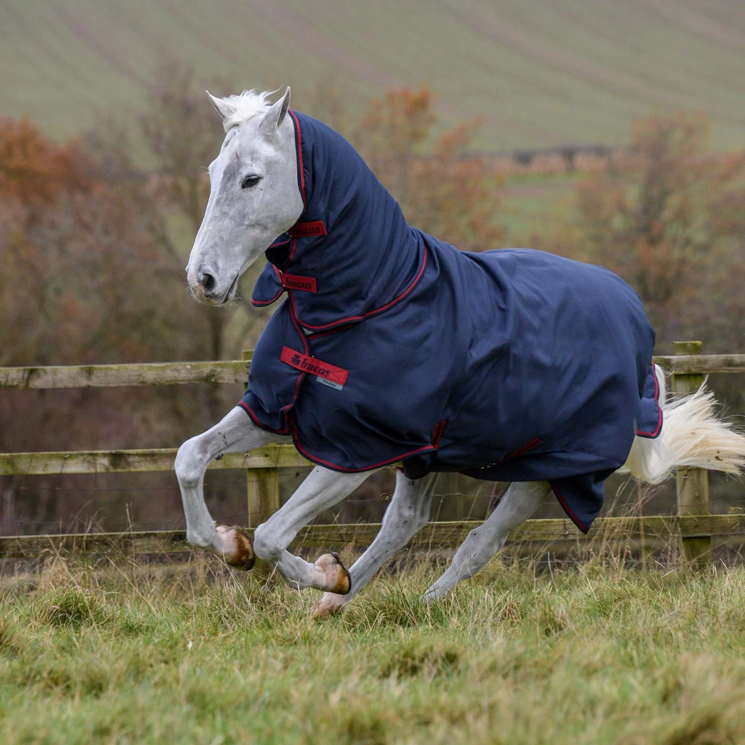 Bucas Freedom Full Turnout Rug With Fixed Neck, 0g 9 Bucas Freedom Full Turnout Rug With Fixed Neck, 0g - Image 7