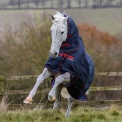 Bucas Freedom Full Turnout Rug With Fixed Neck, 0g 19 Bucas Freedom Full Turnout Rug With Fixed Neck, 0g -Sports - Horse Equipment Shop 300453 GDG 2