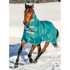 Bucas Freedom Full Turnout Rug With Fixed Neck, 0g 21 Bucas Freedom Full Turnout Rug With Fixed Neck, 0g -Sports - Horse Equipment Shop 300453 JGR 1