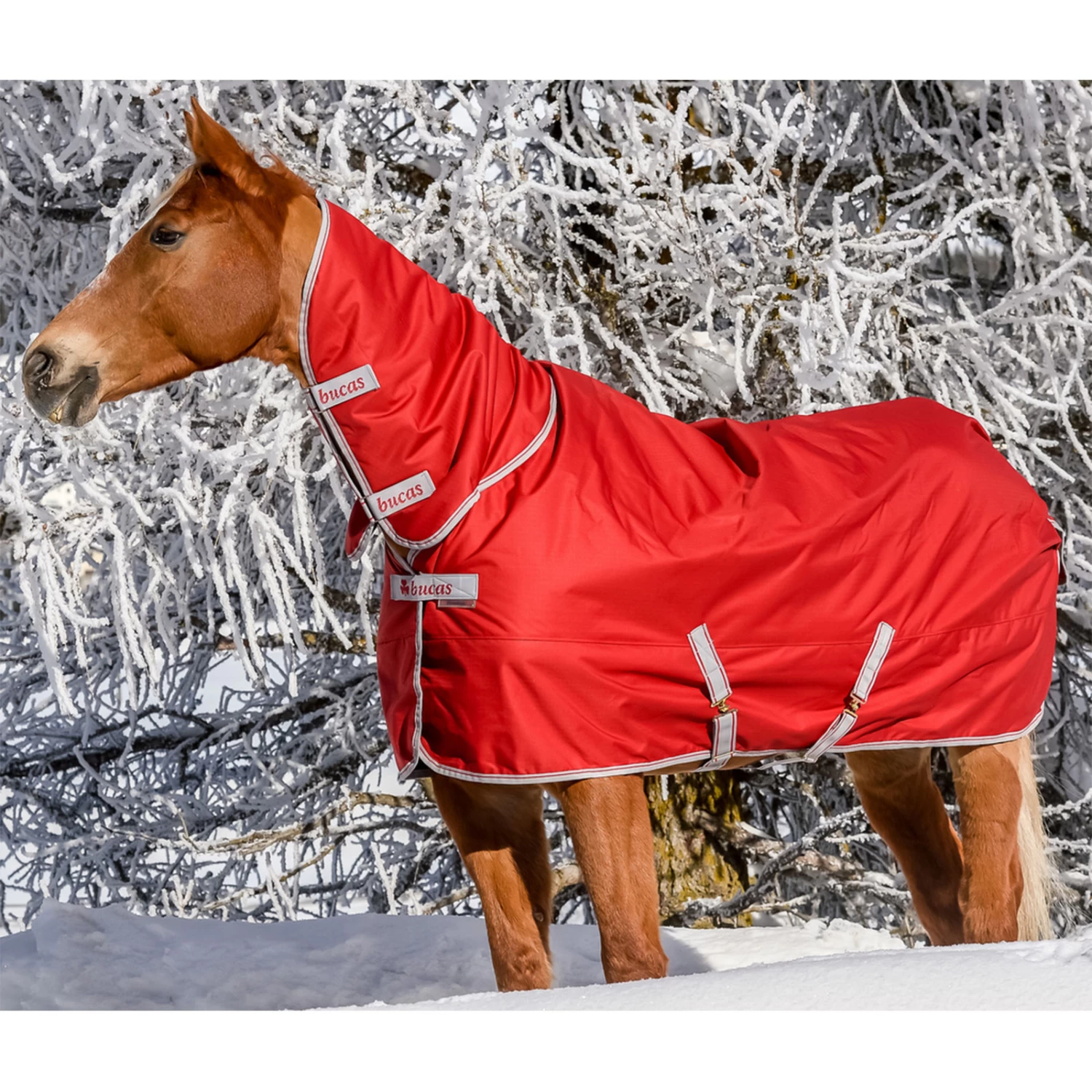 Bucas Freedom Full Turnout Rug With Fixed Neck, 0g 11 Bucas Freedom Full Turnout Rug With Fixed Neck, 0g - Image 9