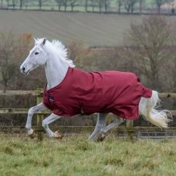 Bucas Freedom Light Pony Turnout Rug, 0g -Sports - Horse Equipment Shop 300456 CRE 2