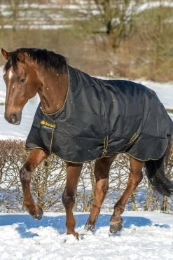 Bucas Irish Turnout Rug With High Neck, 50g