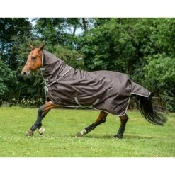 Bucas Smartex Combi Neck 300 -Sports - Horse Equipment Shop 300493 CBR 1