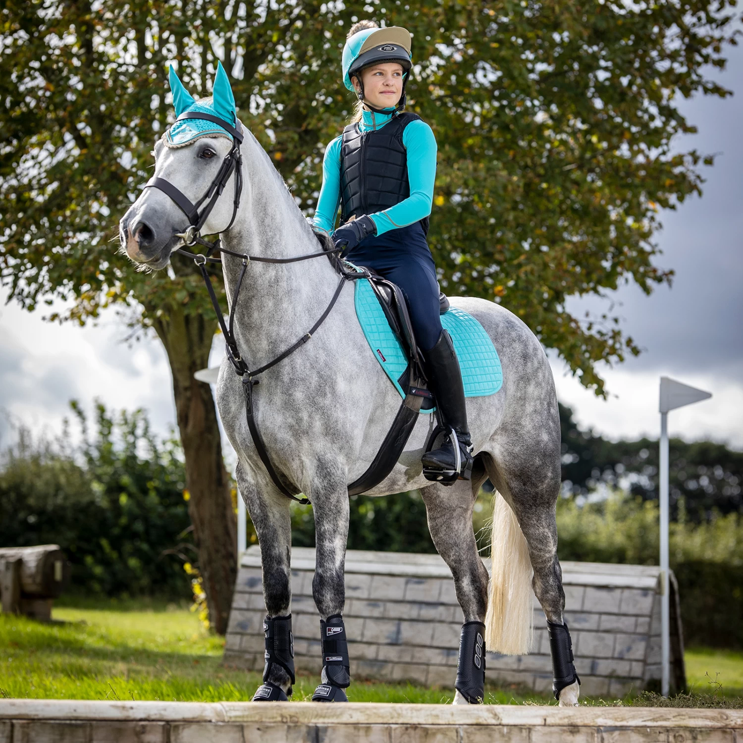 LeMieux Seasonal Luxury CC 4 LeMieux Seasonal Luxury CC - Image 2