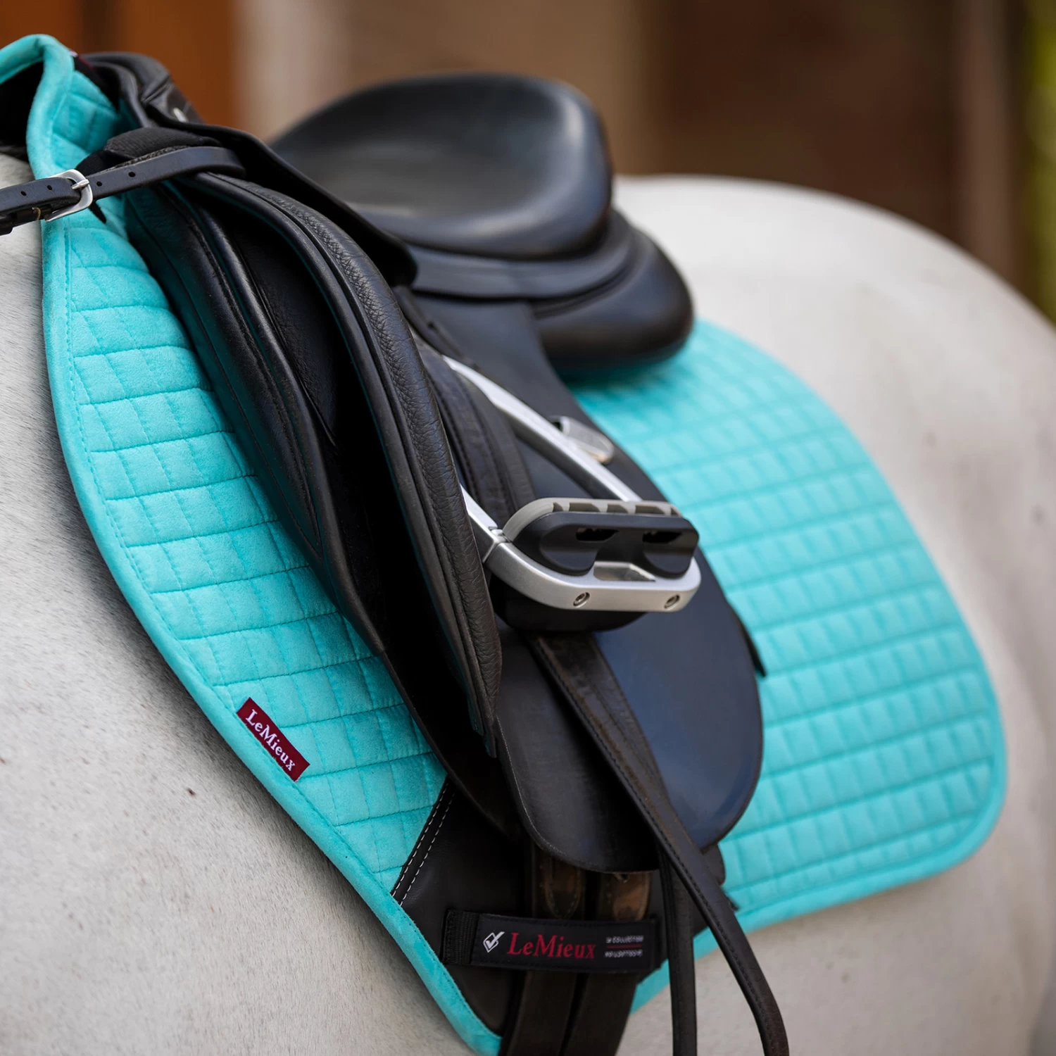 LeMieux Seasonal Luxury CC 5 LeMieux Seasonal Luxury CC - Image 3