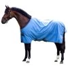 Horseware Amigo Hero 900 Turnout Rug, 50g -Sports - Horse Equipment Shop 306288 CNB GMG 1