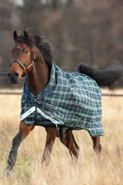 Horseware Rhino Wug Turnout Rug With High Neck, 100g -Sports - Horse Equipment Shop 307630 HGR DB 2