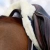 Kentucky Horsewear Absorb Sheepskin Half Pad -Sports - Horse Equipment Shop 307786 DB 10