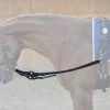 Kavalkade Side Reins -Sports - Horse Equipment Shop 308241 BL 1