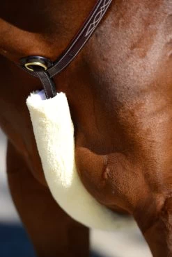 Kentucky Horsewear Sheepskin Breastplate Cover -Sports - Horse Equipment Shop 313003 NAT 1