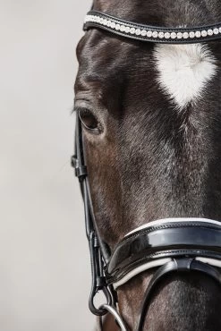 Schockemöhle Malibu Dressage Bridle With Crystal Detail 13 Schockemöhle Malibu Dressage Bridle With Crystal Detail -Sports - Horse Equipment Shop 313775 BL PTG 3