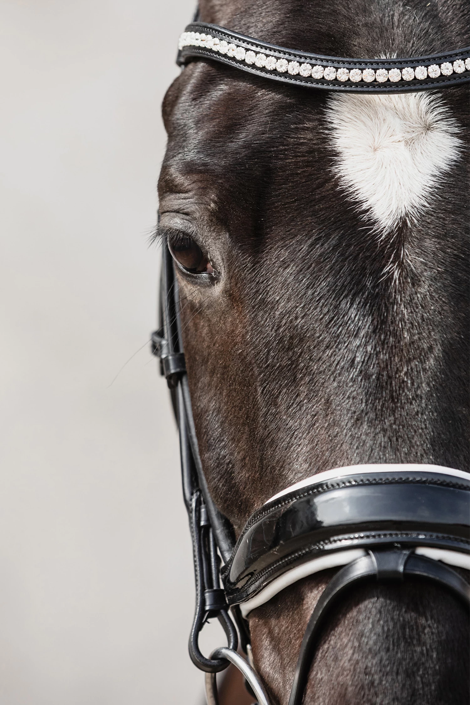 Schockemöhle Malibu Dressage Bridle With Crystal Detail 8 Schockemöhle Malibu Dressage Bridle With Crystal Detail - Image 6