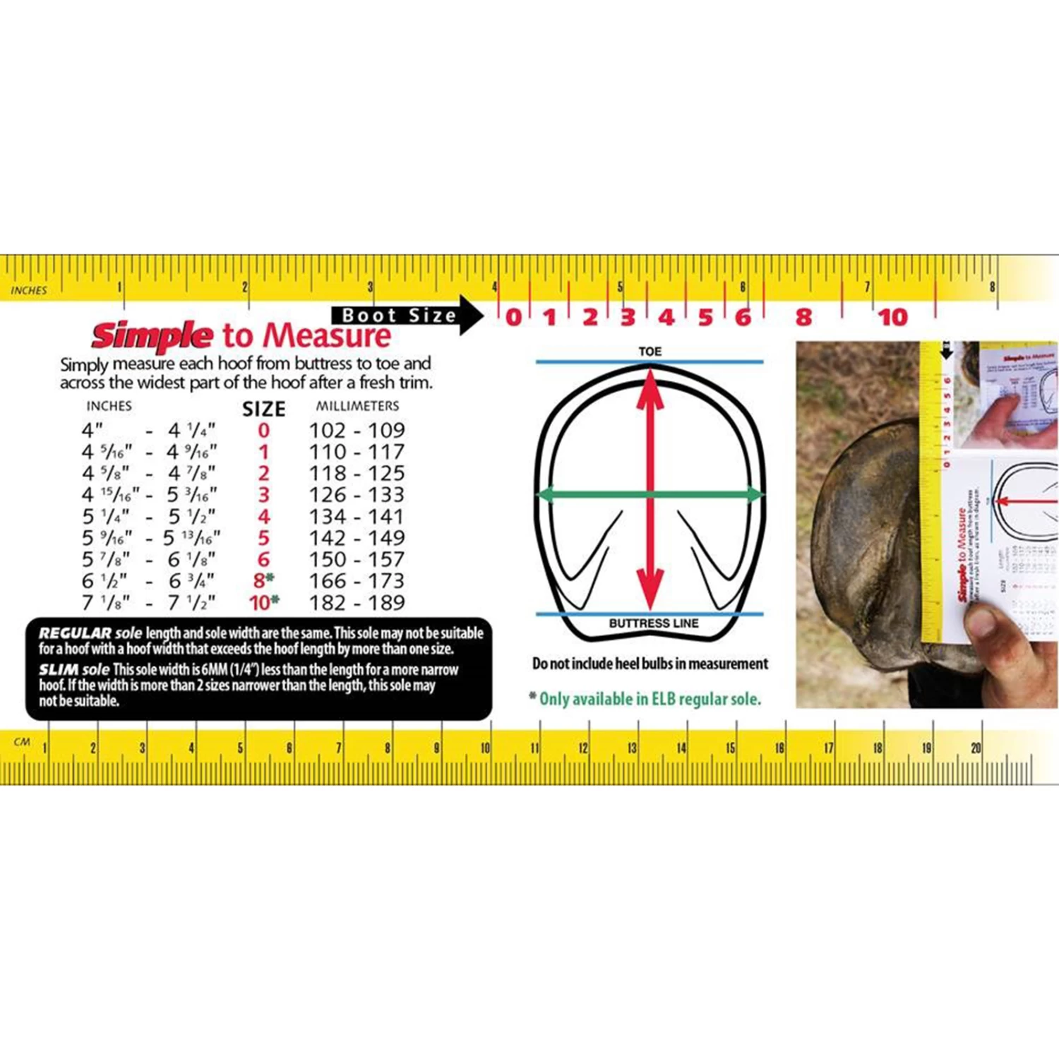 F.R.A. Cavallo Wrap Bandages BFB 4 F.R.A. Cavallo Wrap Bandages BFB - Image 2