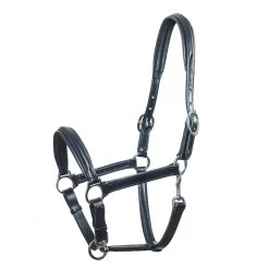 Schockemöhle Ulm, Leather Halter