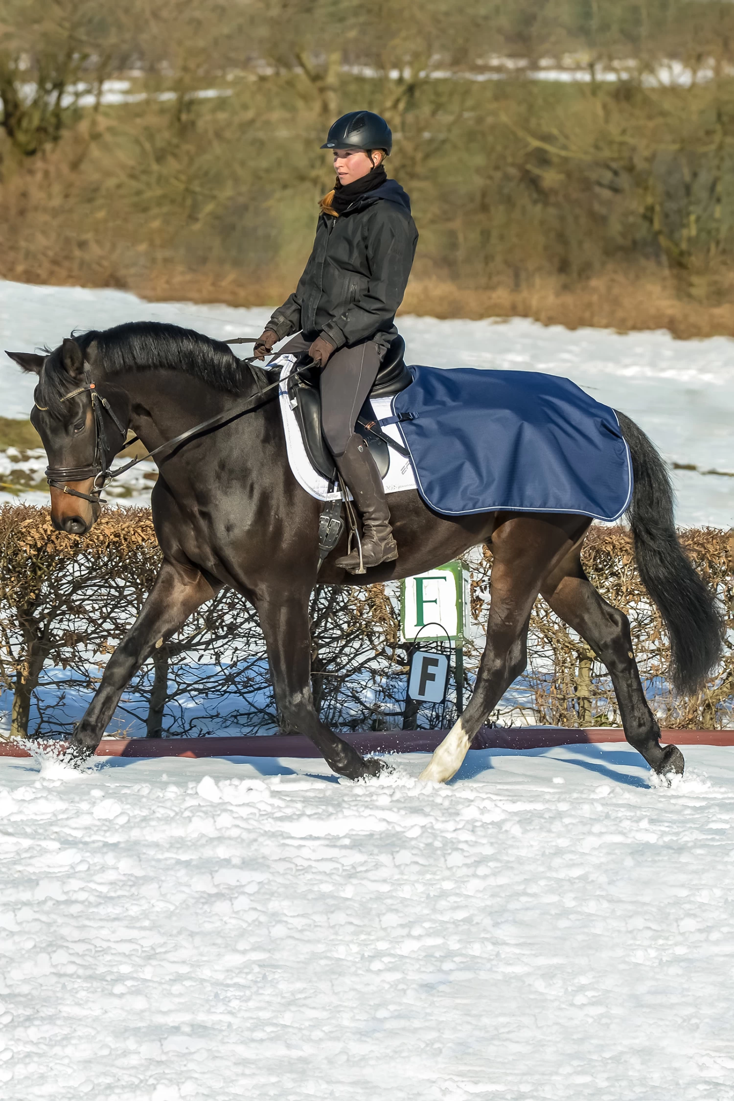 Bucas Riding Rug 3 Bucas Riding Rug