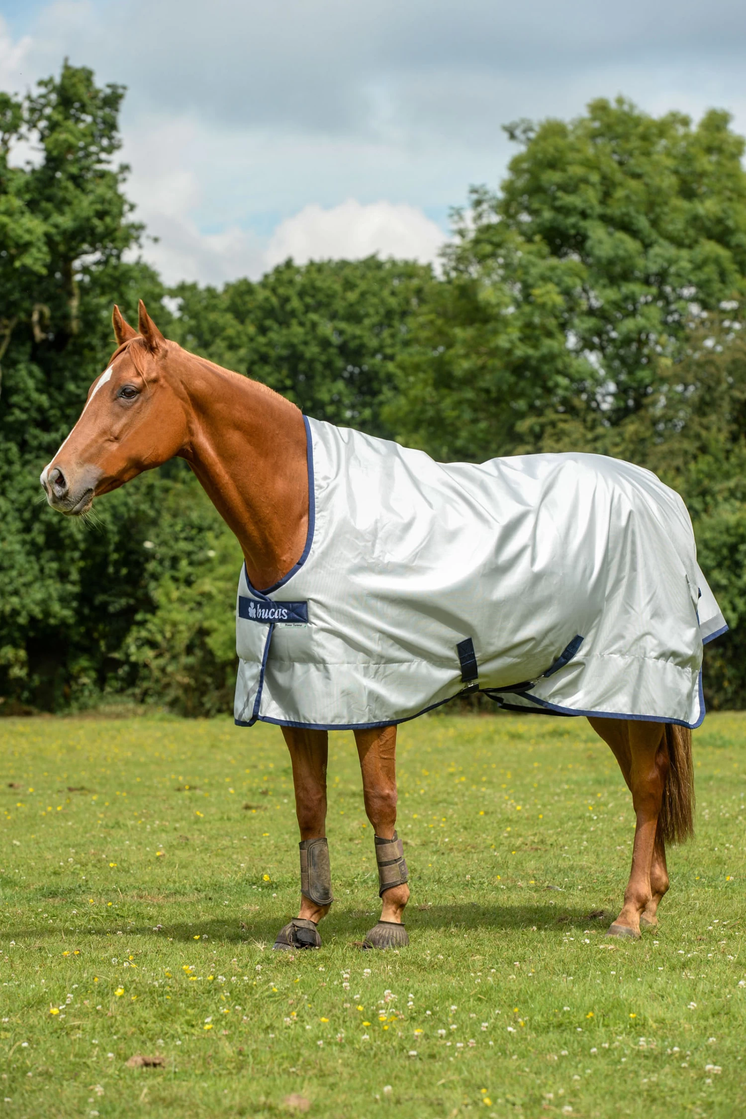 Bucas Power Turnout Rug With High Neck And Cooling Function, 0g 3 Bucas Power Turnout Rug With High Neck And Cooling Function, 0g