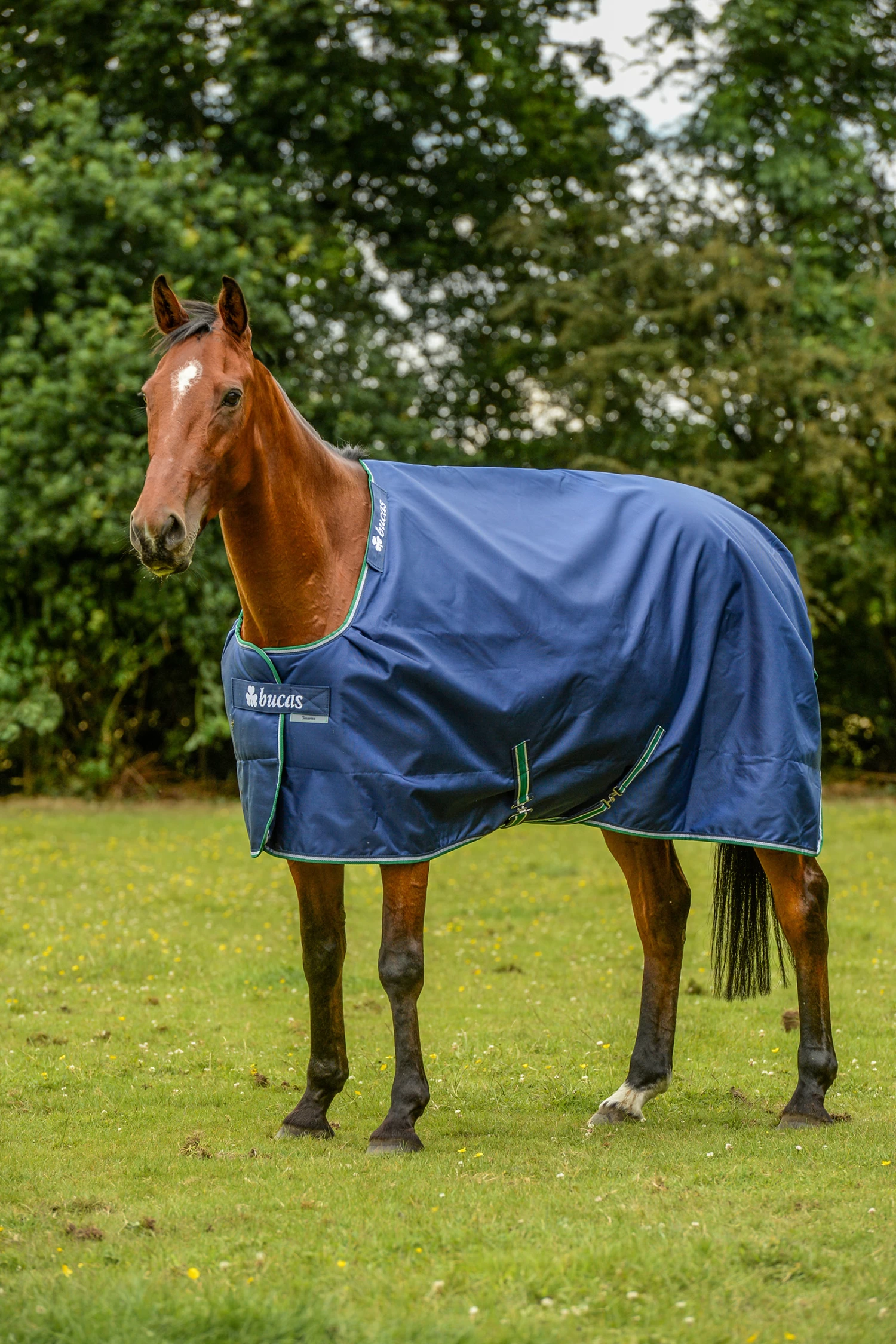 Bucas Smartex Rain Big Neck Turnout Rug With Cooling Function, 0g 3 Bucas Smartex Rain Big Neck Turnout Rug With Cooling Function, 0g
