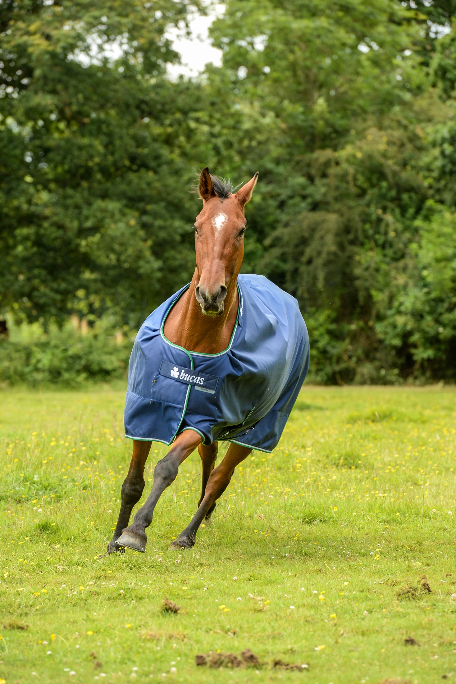 Bucas Smartex Rain Big Neck Turnout Rug With Cooling Function, 0g 4 Bucas Smartex Rain Big Neck Turnout Rug With Cooling Function, 0g - Image 2