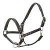 Imperial Riding Halter Leather Lavarre -Sports - Horse Equipment Shop 317117 BL AMET 1