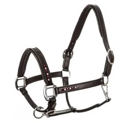 Imperial Riding Halter Leather Lavarre -Sports - Horse Equipment Shop 317117 BL RPI 1