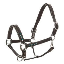 Imperial Riding Halter Leather Lavarre -Sports - Horse Equipment Shop 317117 BL ZIR 1
