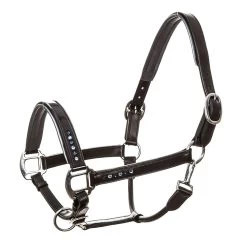 Imperial Riding Halter Leather Lavarre -Sports - Horse Equipment Shop 317117 DB MET 1