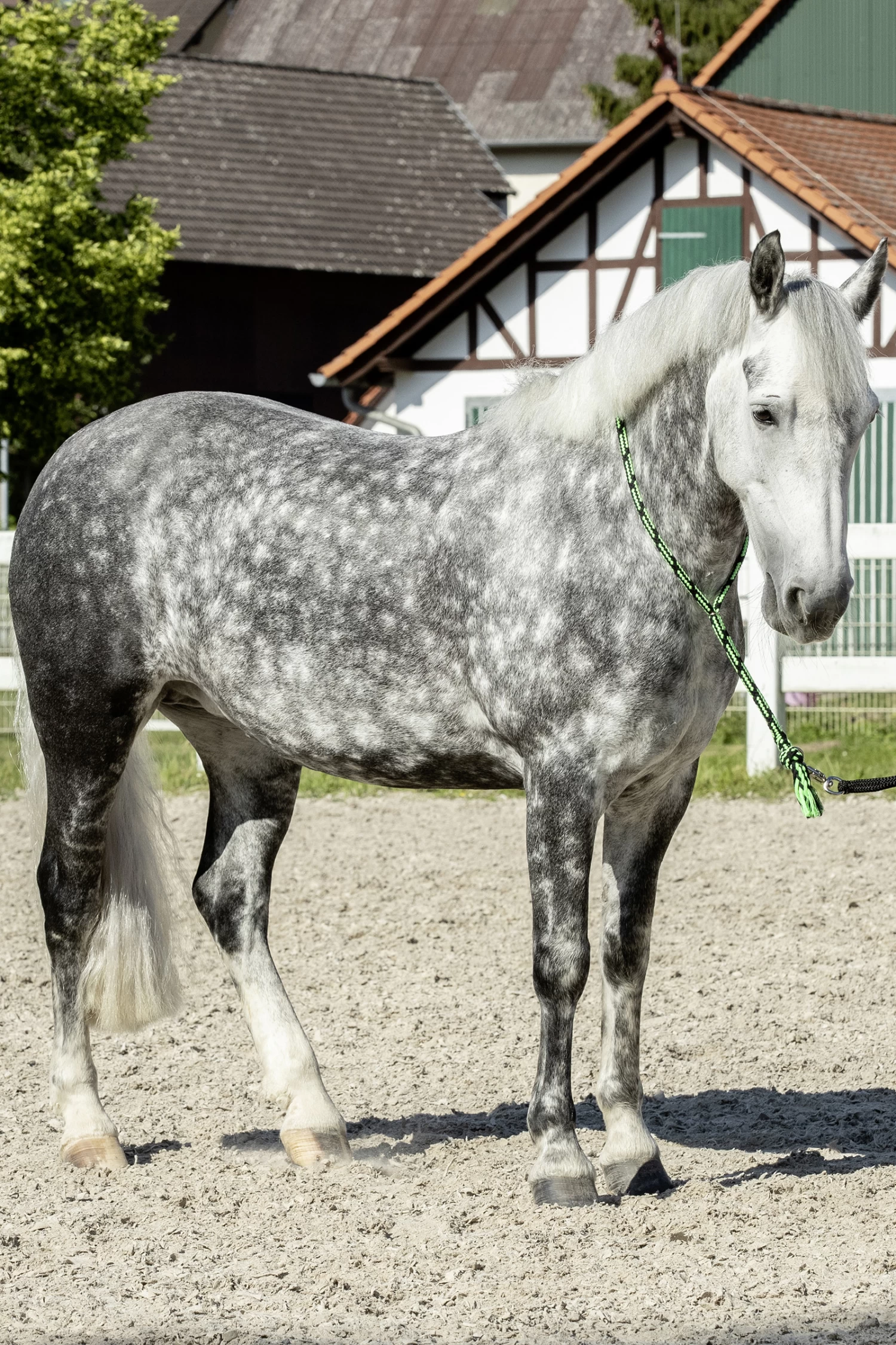 USG Soft Neck Rope 10 USG Soft Neck Rope - Image 8