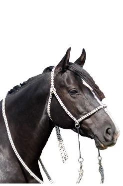 F.R.A. Nanouk Bitless Bridle (System 4) Cotton W/ Clip Reins -Sports - Horse Equipment Shop 322919 BL WH 2