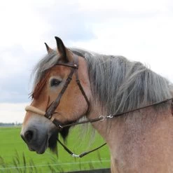 F.R.A. Tinver Bitless Bridle (System 4) W/ Reins, Shire -Sports - Horse Equipment Shop 322940 BR 1